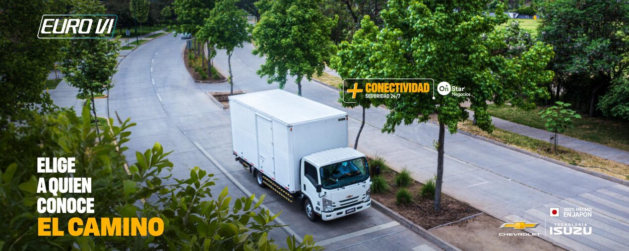 Camión blanco circulando por una carretera.