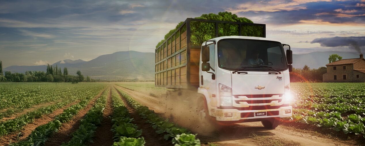 Camión Chevrolet FRR circulando por un camino de tierra.